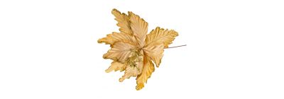 Flor navideña dorada