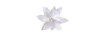Flor navideña blanca