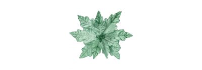 Flor artificial navideña verde menta