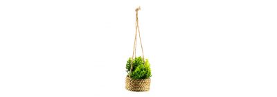 Planta artificial colgante decorativa