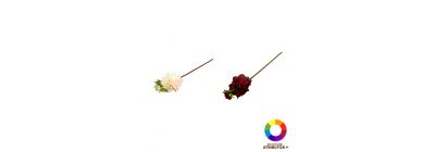 Ramo flores dalia surtido