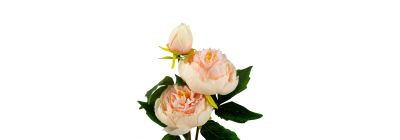 Ramo peonía artificial surtido