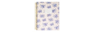 Planificador bienestar 160p