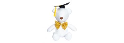 Peluche oso graduación firmas