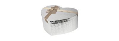 Caja regalo plateado grande