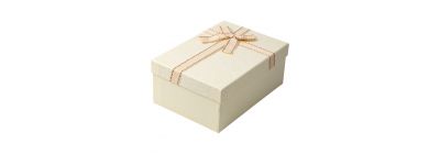 Caja regalo beige grande
