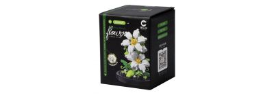 Bloque flor margarita blanca