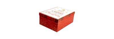 Caja navideña diseño festivo