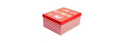Caja navideña Winter Wonder Land