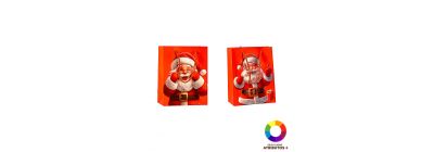 Bolsa regalo Santa escarchado