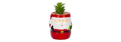 Maceta Santa con planta roja