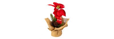 Pastora artificial navideña decorativa