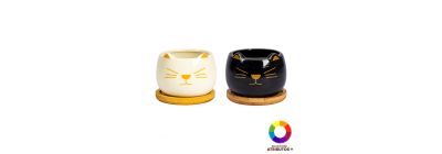 Maceta cerámica con estampado