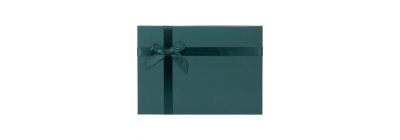 Caja cartón lazo verde grande