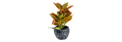 Planta artificial compacta