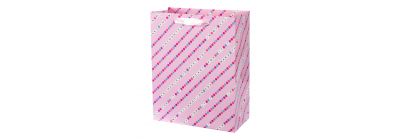 Bolsa de regalo diseño encantador