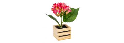 Caja madera con flor 7 cm