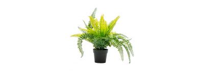 Planta artificial mediana decorativa
