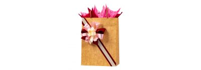 Bolsa mujer cartulina kraft