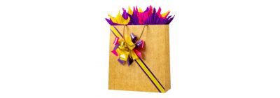 Bolsa mujer cartulina kraft