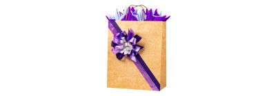 Bolsa kraft para hombre