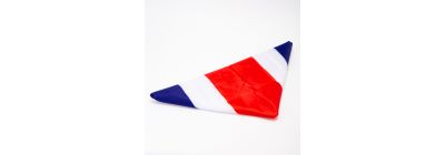 Bandera tela costa rica 90x150cm