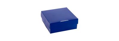 Caja #72 lisa papa 