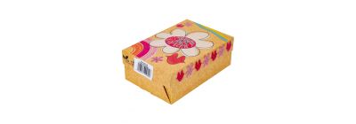 Caja mediana kraft 24x16x9