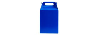 Caja cartón lisa 8und azul