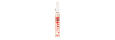 Lápiz labial lipgloss oil 2.2g surtido