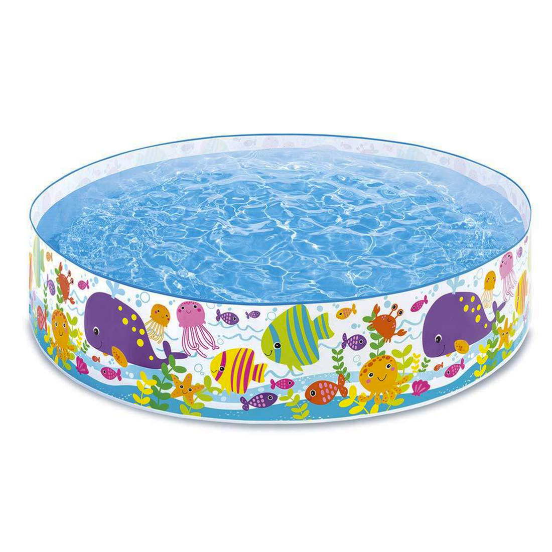 Piscina infantil 6x1.3pulg