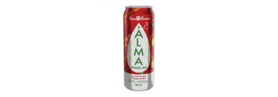 Bebida carbonatada Alma fresa kiwi 355ml