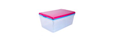 Caja Home Pro zapatera set 2und 12.5l