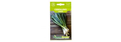 Semilla hortaliza cebollino