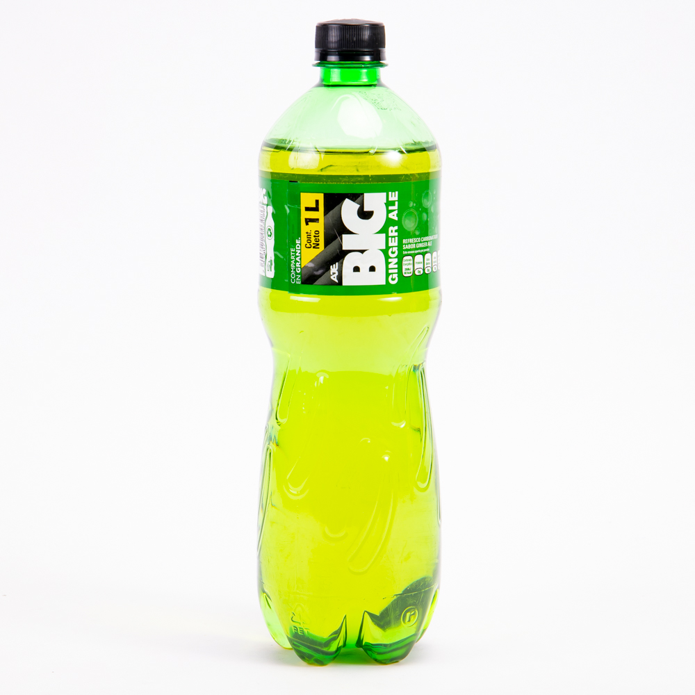 Refresco gaseoso big ginger ale 1000ml