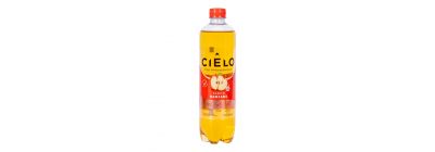 Agua Cielo con antioxidantes manzana