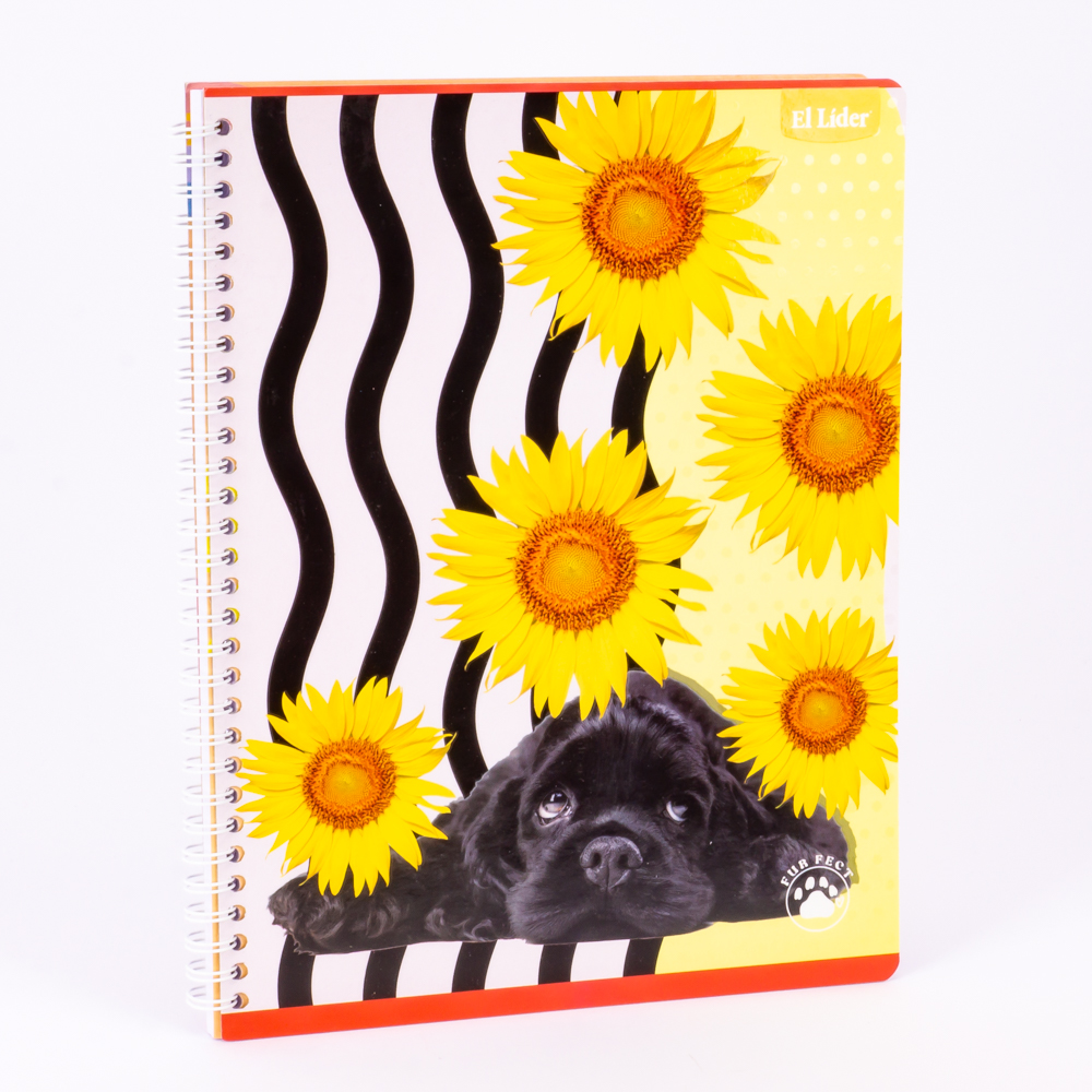 Cuaderno grande 80h furfect espiral Surtido por estilo