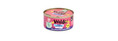 Alimento húmedo salmón para  gato 170g