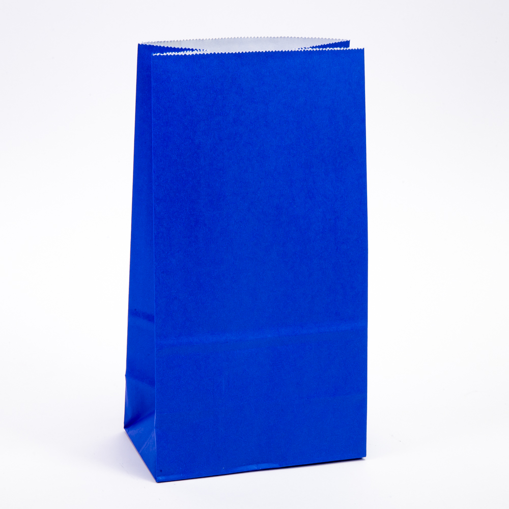 Bolsa papel Carnival lisa 8und azul