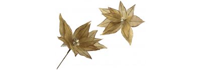 Flor navideña champagne escarchada