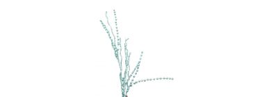 Rama navideña escarchada