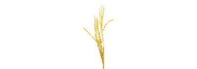 Rama navideña 88 cm dorado