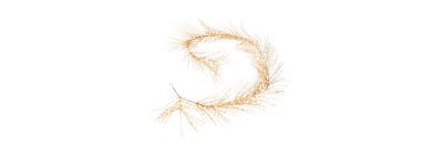 Rama navideña dorada 180 cm