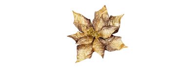 Flor navideña dorado marrón