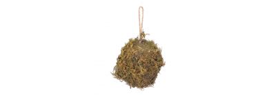 Esfera navideña de musgo