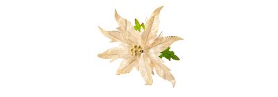 Flor artificial navideña lisa escarchada con fruto hojas 76cm champagne y verde