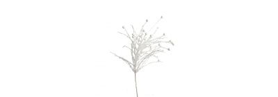 Flor navideña blanco