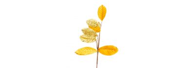 Flor dorado navideña