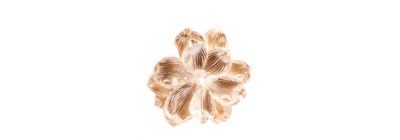 Flor navideña con flor