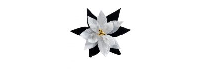 Flor navideña